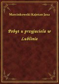 Pobyt u przyjaciela w Lublinie - ebook