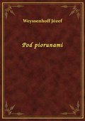 Pod piorunami - ebook