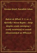 Podróż do Włoch. T. 5, cz. 2, Kościoły i muzea Rzymu. Zarys dziejów sztuki starożytnej i sztuki rozwiniętej w czasach chrześciańskich we Włoszech - ebook