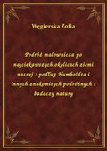 Podróż malownicza po najciekawszych okolicach ziemi naszej : podług Humboldta i innych znakomitych podróżnych i badaczy natury - ebook