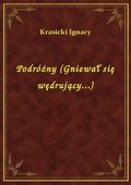 Podróżny (Gniewał się wędrujący...) - ebook