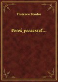 Potok poszarzał... - ebook