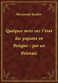 Quelques mots sur l’état des paysans en Pologne : par un Polonais - ebook