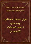 Robinson Kruzo : jego życia losy, doświadczenia i przypadki - ebook