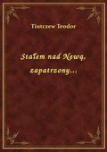 Stałem nad Newą, zapatrzony... - ebook