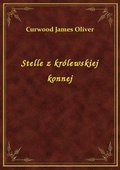 Stelle z królewskiej konnej - ebook