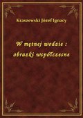 W mętnej wodzie : obrazki współczesne - ebook