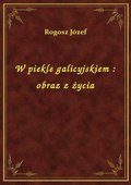 W piekle galicyjskiem : obraz z życia - ebook