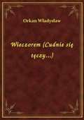 Wieczorem (Cudnie się tęczy...) - ebook