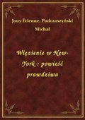 Więzienie w New-York : powieść prawdziwa - ebook