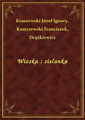 Wioska : sielanka - ebook