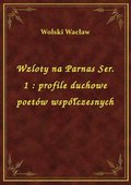 Wzloty na Parnas Ser. 1 : profile duchowe poetów współczesnych - ebook