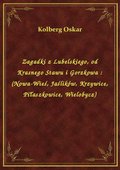 Zagadki z Lubelskiego, od Krasnego Stawu i Gorzkowa : (Nowa-Wieś, Jaślików, Krzywice, Piłaszkowice, Wielobycz) - ebook