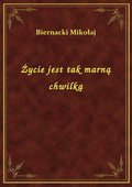 Życie jest tak marną chwilką - ebook