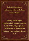 Żywoty arcybiskupów gnieźnieńskich, prymasow Korony Polskiej i Wielkiego Księstwa Litewskiego, od Wilibalda do Andrzeja Olszowskiego włącznie. T. 1 - ebook