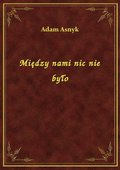 Między nami nic nie było - ebook