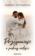 Przypowieść o pięknej miłości - ebook