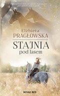 Stajnia pod lasem - ebook