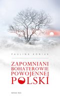 Zapomniani bohaterowie - ebook