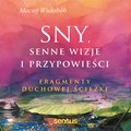 Sny, senne wizje i przypowieści. Fragmenty duchowej ścieżki  - audiobook