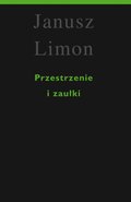 Przestrzenie i zaułki - ebook