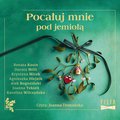 Pocałuj mnie pod jemiołą - audiobook