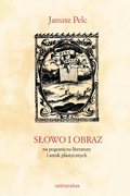 Słowo i obraz. Na pograniczu literetury i sztuk plastycznych - ebook