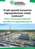 W jaki sposób korzystnie zagospodarować osady ściekowe? Plusy i minusy poszczególnych sposobów ich zagospodarowania - ebook