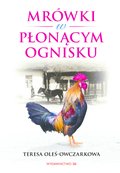 Mrówki w płonącym ognisku - ebook