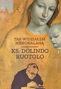 Tak widziałem Niepokalaną - ebook