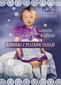 Koronki z płatków śniegu - ebook