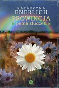 Prowincja pełna złudzeń - ebook