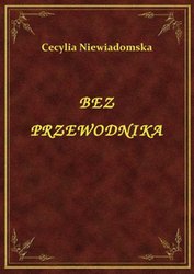 : Bez Przewodnika - ebook