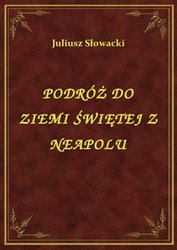 : Podróż Do Ziemi Świętej Z Neapolu - ebook