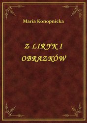 : Z Liryk I Obrazków - ebook