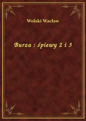 : Burza : śpiewy 2 i 3 - ebook