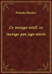 : Co inszego osieł, co inszego pan jego niesie - ebook