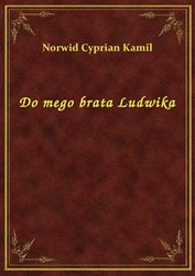 : Do mego brata Ludwika - ebook