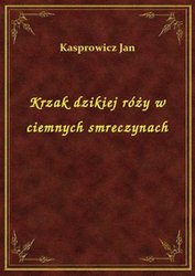 : Krzak dzikiej róży w ciemnych smreczynach - ebook