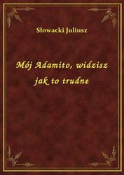 : Mój Adamito, widzisz jak to trudne - ebook