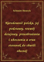 : Narodowość polska, jej podstawy, rozwój dziejowy, przeobrażenia i zboczenia a oraz stosunek do chwili obecnéj - ebook