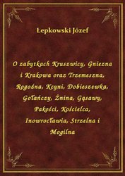 : O zabytkach Kruszwicy, Gniezna i Krakowa oraz Trzemeszna, Rogoźna, Kcyni, Dobieszewka, Gołańczy, Żnina, Gąsawy, Pakości, Kościelca, Inowrocławia, Strzelna i Mogilna - ebook