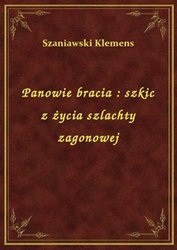 : Panowie bracia : szkic z życia szlachty zagonowej - ebook