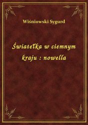 : Światełka w ciemnym kraju : nowella - ebook