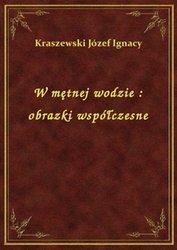 : W mętnej wodzie : obrazki współczesne - ebook