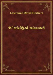 : W wielkich miastach - ebook