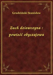 : Zuch dziewczyna : powieść obyczajowa - ebook