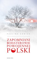 : Zapomniani bohaterowie - ebook