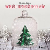 : Dwanaście niedokończonych snów - audiobook